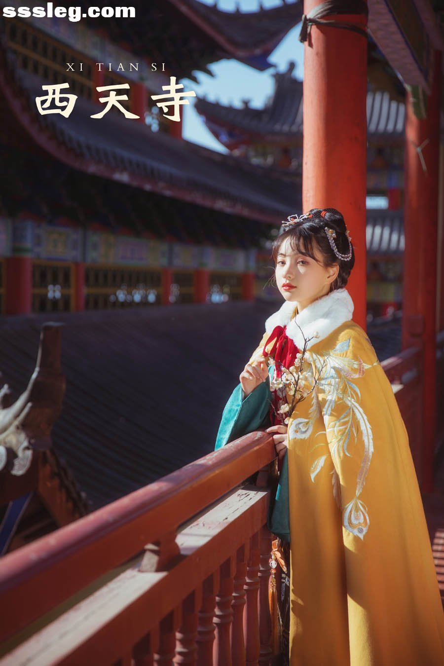 cover.jpg