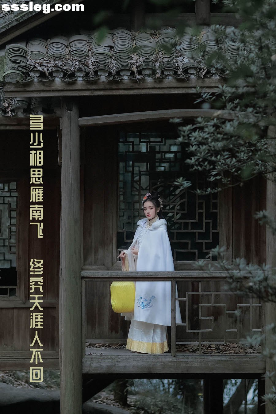 cover.jpg