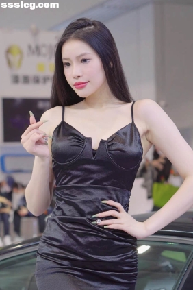 THEBEAUTY 2023深圳改装车展 车模18 [1V365M]