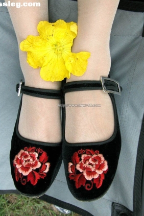 [Ligui丽柜]2004.01.12