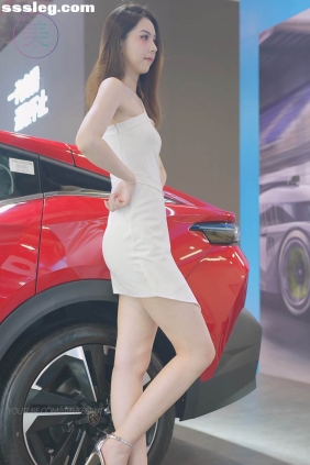 THEBEAUTY 2023东莞秋季车展 Citroën车模04 [1V400M]